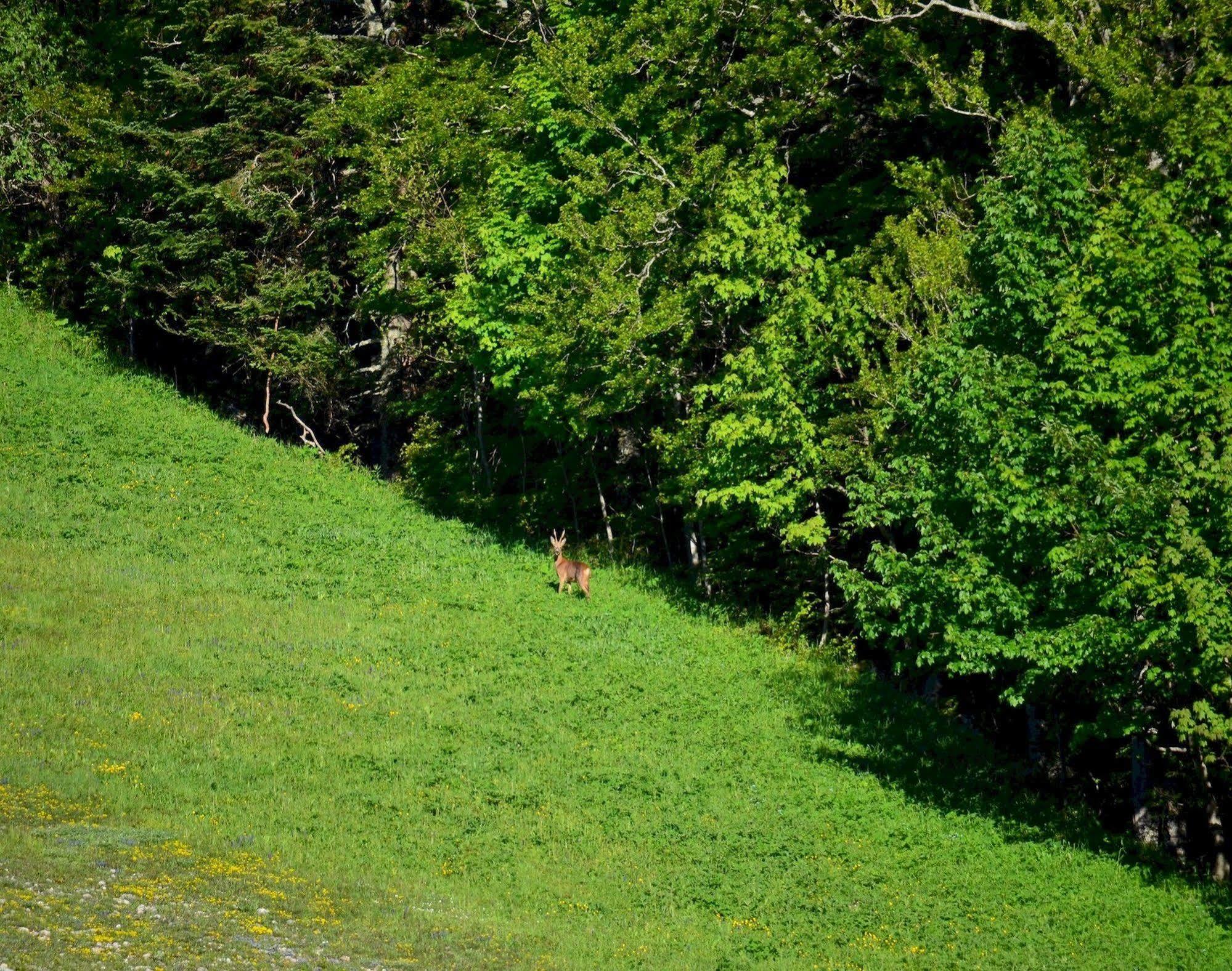 Val Lachard Villard-de-Lans Eksteriør bilde